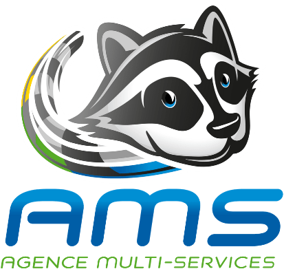 AMS