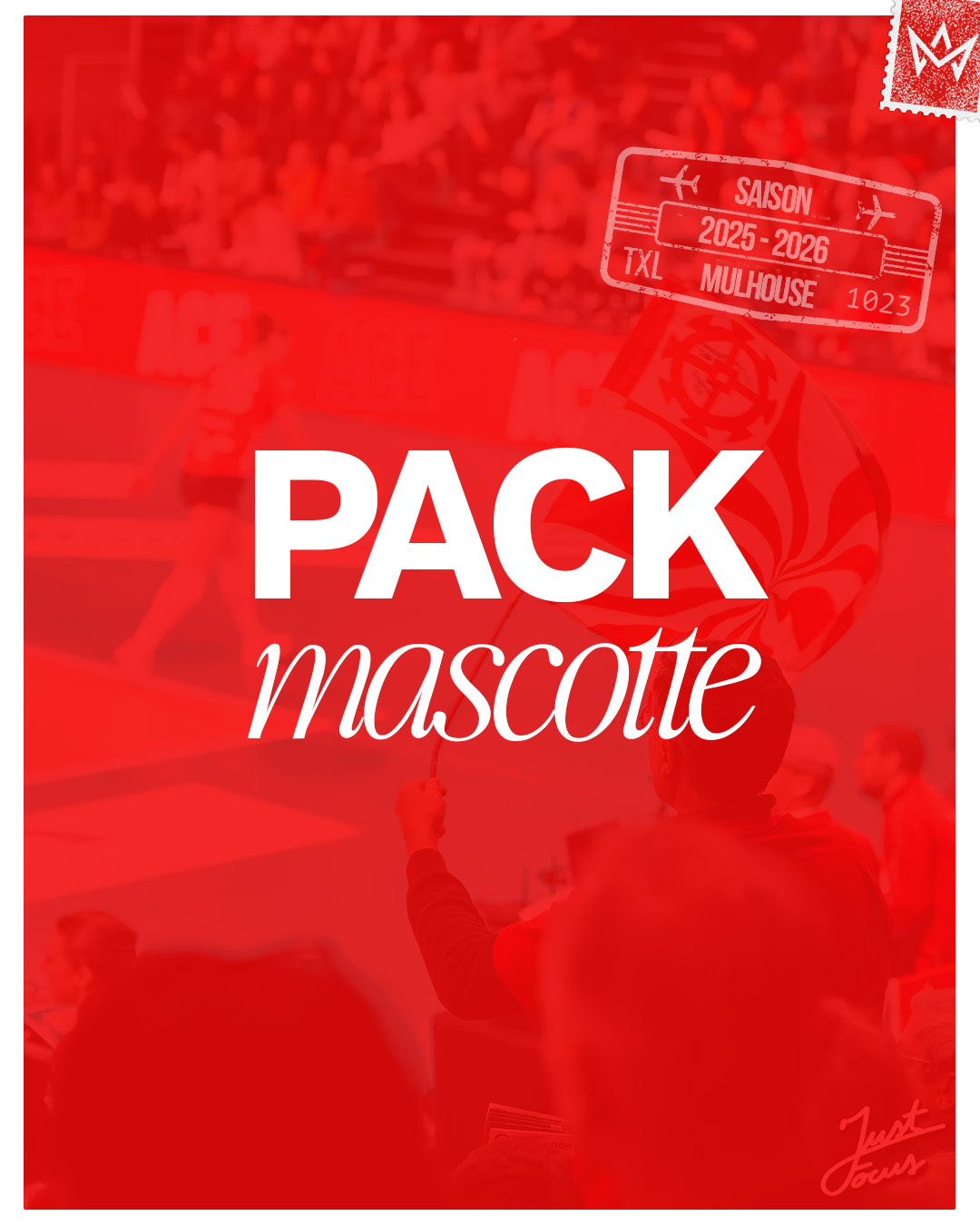 PACK MASCOTTE